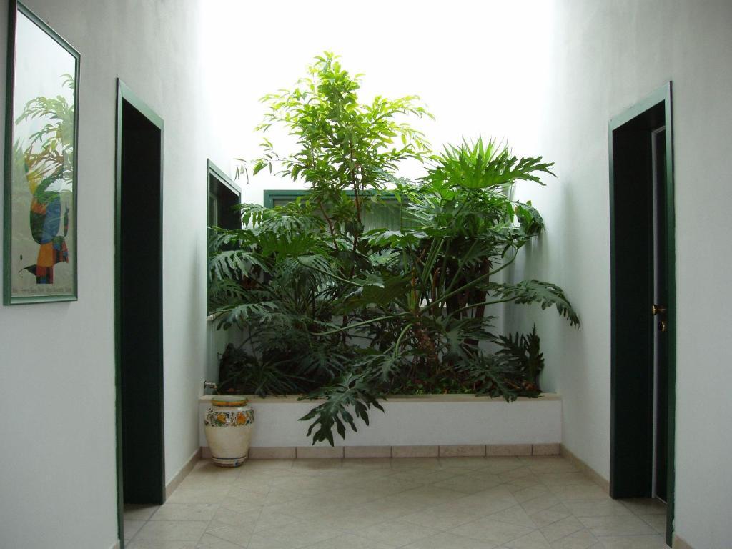 Hotel La Primula 3*